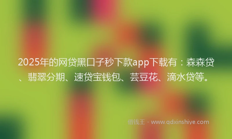 2025年的网贷黑口子秒下款app下载有：森森贷、翡翠分期、速贷宝钱包、芸豆花、滴水贷等。