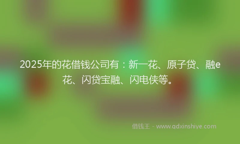 2025年的花借钱公司有：新一花、原子贷、融e花、闪贷宝融、闪电侠等。