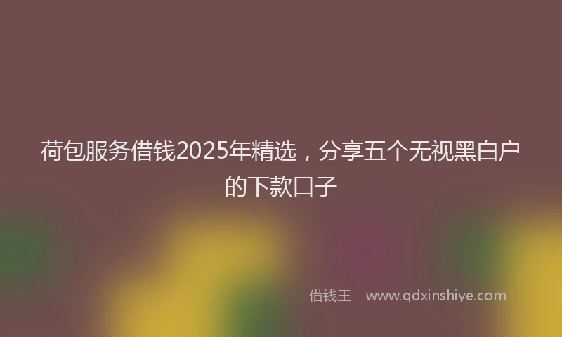 荷包服务借钱2025年精选，分享五个无视黑白户的下款口子