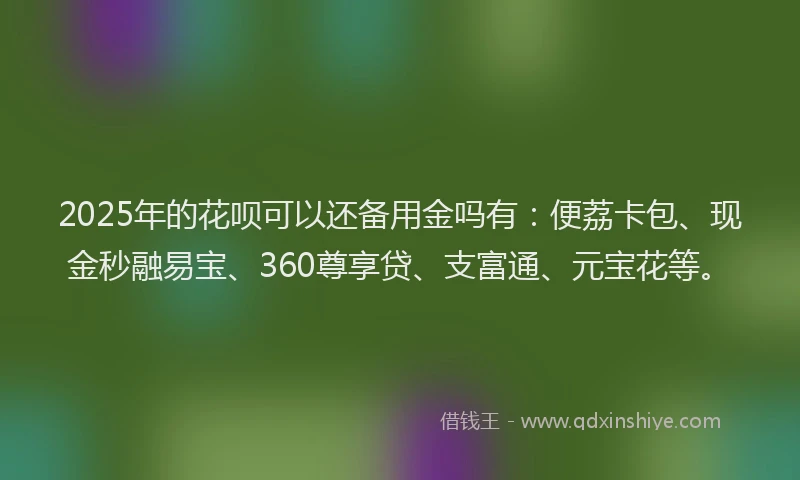 2025年的花呗可以还备用金吗有：便荔卡包、现金秒融易宝、360尊享贷、支富通、元宝花等。