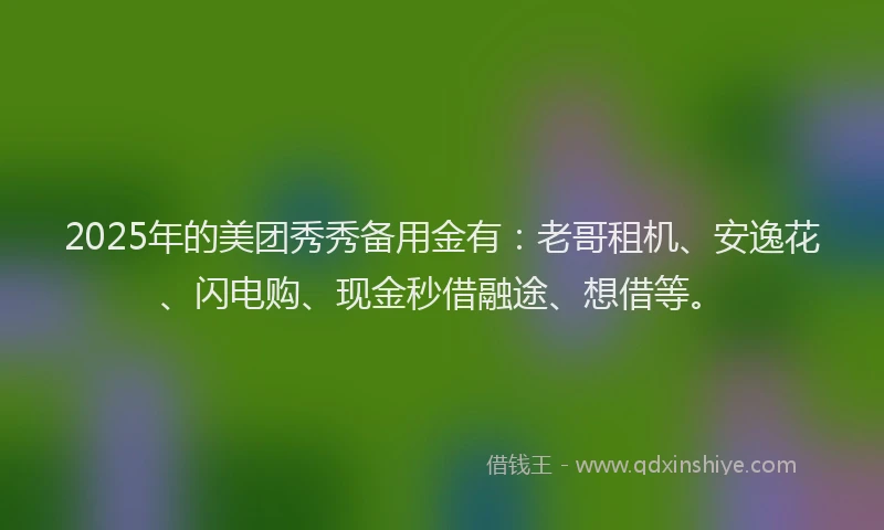 2025年的美团秀秀备用金有：老哥租机、安逸花、闪电购、现金秒借融途、想借等。