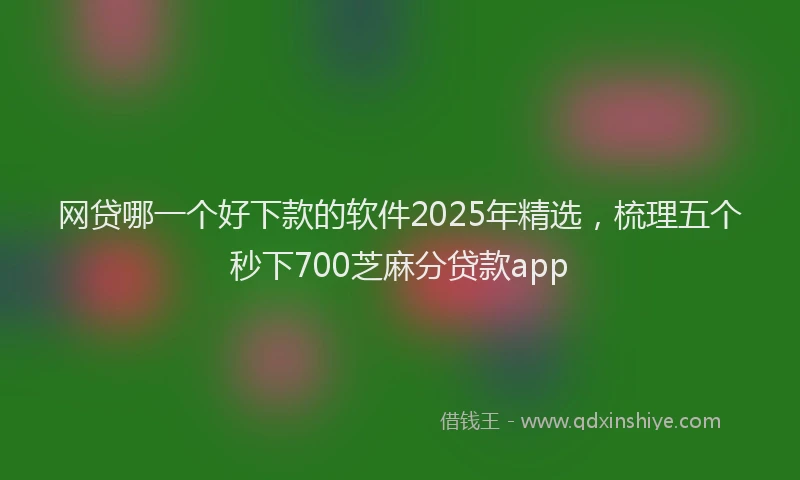 网贷哪一个好下款的软件2025年精选，梳理五个秒下700芝麻分贷款app