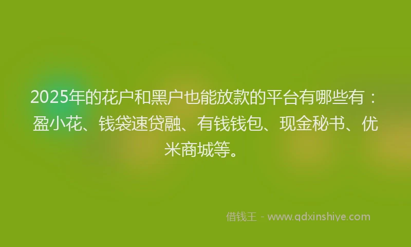 2025年的花户和黑户也能放款的平台有哪些有：盈小花、钱袋速贷融、有钱钱包、现金秘书、优米商城等。