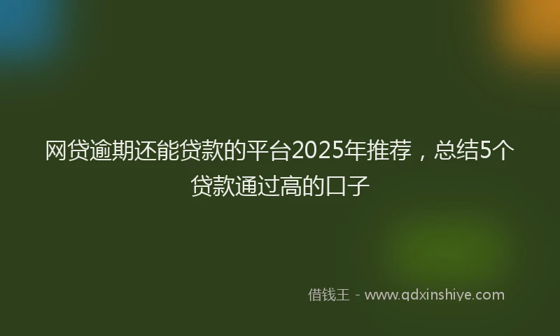 网贷逾期还能贷款的平台2025年推荐，总结5个贷款通过高的口子