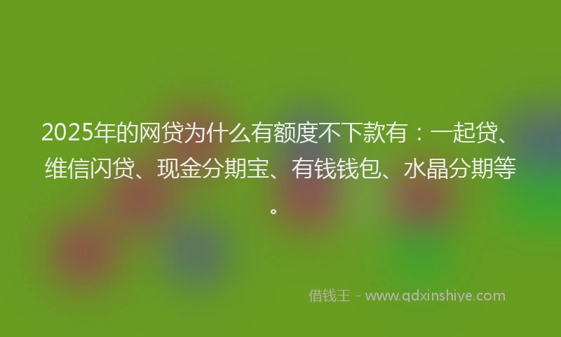 2025年的网贷为什么有额度不下款有：一起贷、维信闪贷、现金分期宝、有钱钱包、水晶分期等。