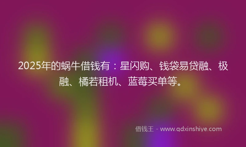 2025年的蜗牛借钱有：星闪购、钱袋易贷融、极融、橘若租机、蓝莓买单等。