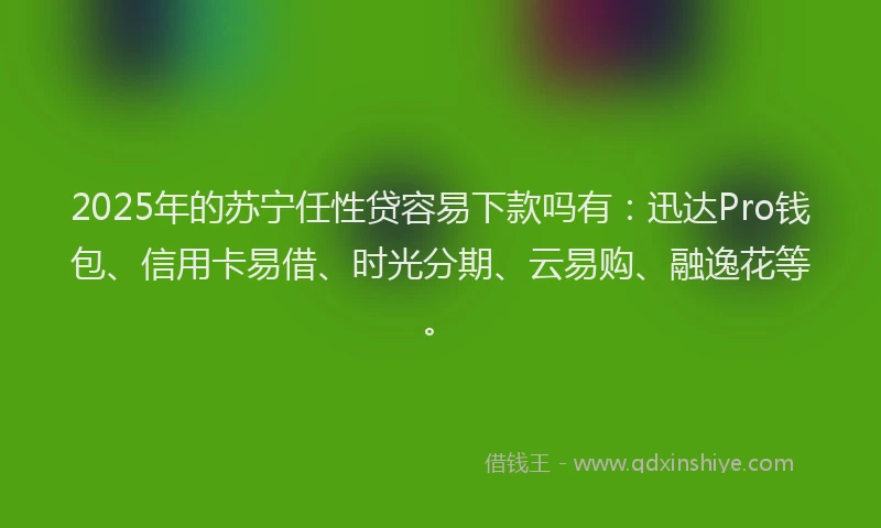 2025年的苏宁任性贷容易下款吗有：迅达Pro钱包、信用卡易借、时光分期、云易购、融逸花等。