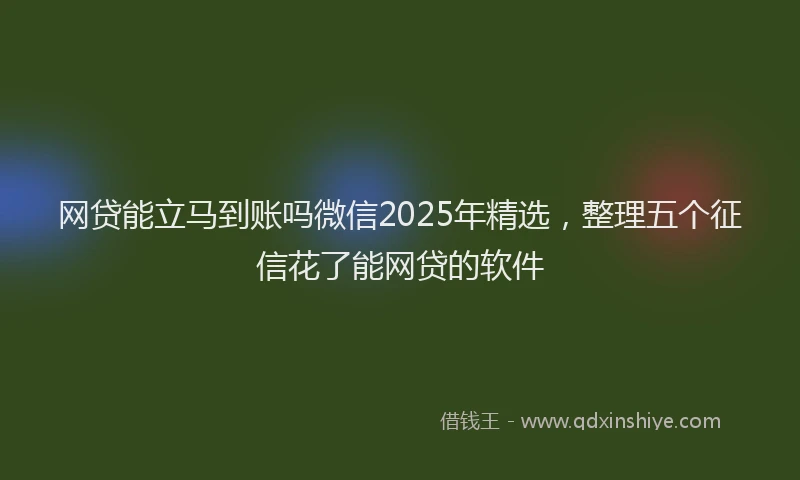 网贷能立马到账吗微信2025年精选，整理五个征信花了能网贷的软件