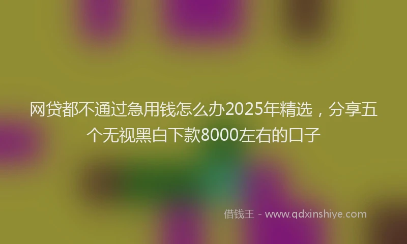 网贷都不通过急用钱怎么办2025年精选，分享五个无视黑白下款8000左右的口子