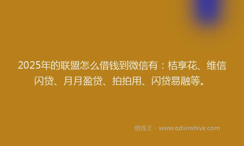 2025年的联盟怎么借钱到微信有：桔享花、维信闪贷、月月盈贷、拍拍用、闪贷易融等。
