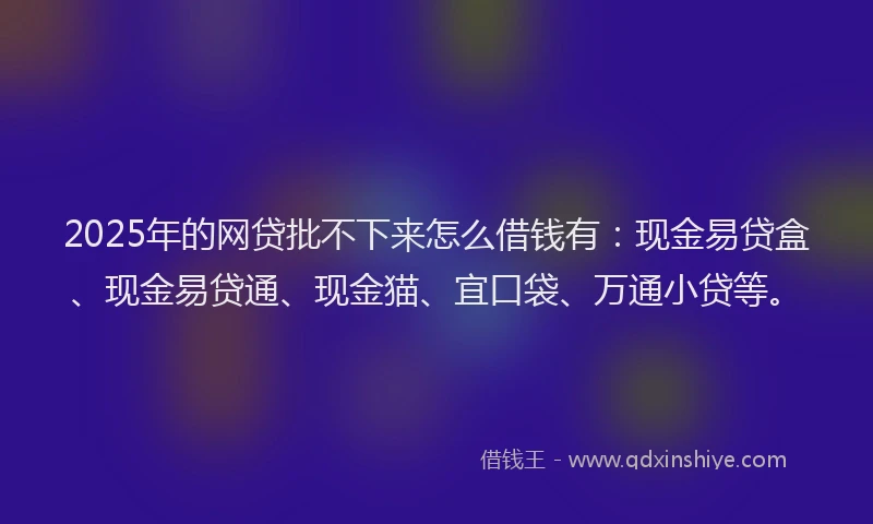2025年的网贷批不下来怎么借钱有：现金易贷盒、现金易贷通、现金猫、宜口袋、万通小贷等。
