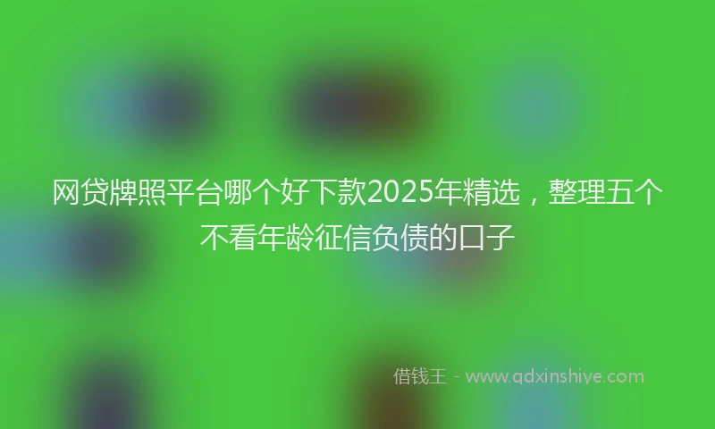 网贷牌照平台哪个好下款2025年精选，整理五个不看年龄征信负债的口子