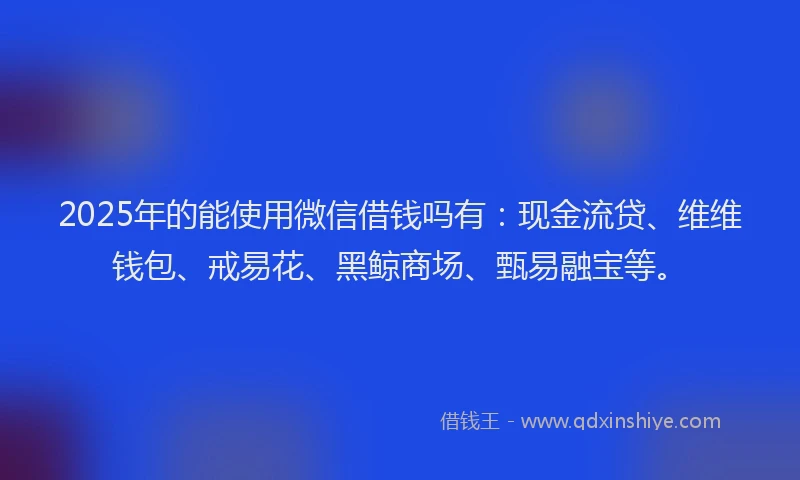 2025年的能使用微信借钱吗有：现金流贷、维维钱包、戒易花、黑鲸商场、甄易融宝等。