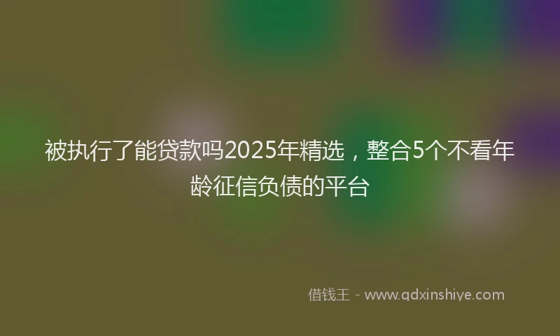 被执行了能贷款吗2025年精选，整合5个不看年龄征信负债的平台