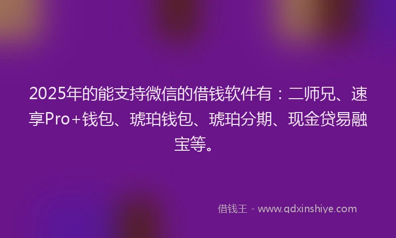 2025年的能支持微信的借钱软件有：二师兄、速享Pro+钱包、琥珀钱包、琥珀分期、现金贷易融宝等。