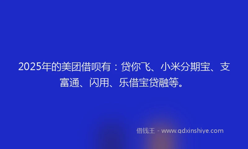 2025年的美团借呗有：贷你飞、小米分期宝、支富通、闪用、乐借宝贷融等。