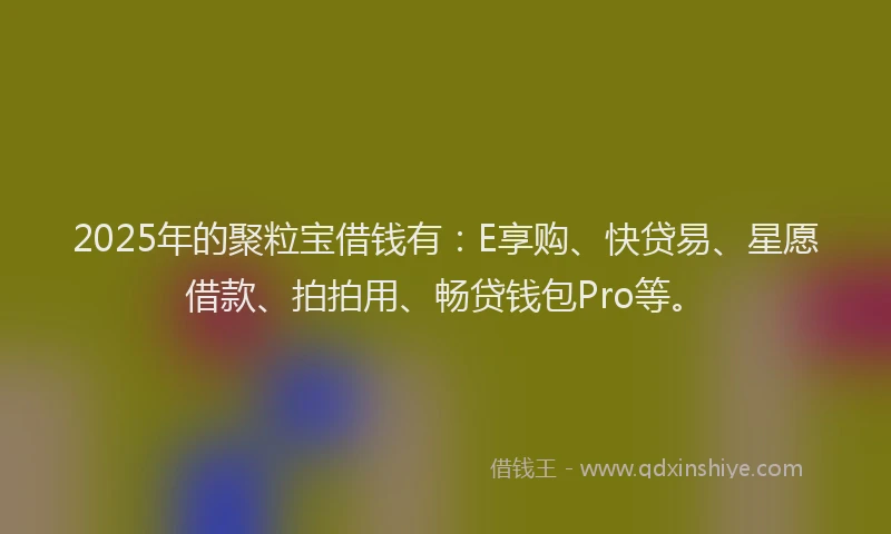 2025年的聚粒宝借钱有：E享购、快贷易、星愿借款、拍拍用、畅贷钱包Pro等。