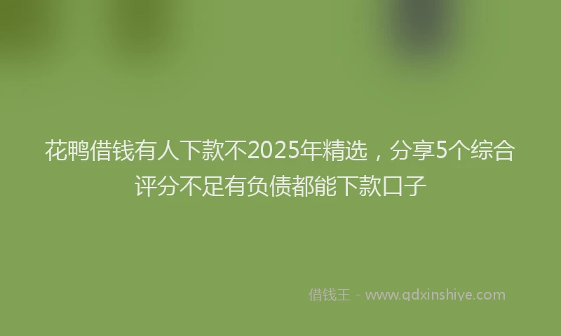 花鸭借钱有人下款不2025年精选，分享5个综合评分不足有负债都能下款口子
