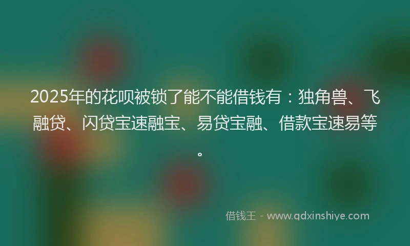 2025年的花呗被锁了能不能借钱有：独角兽、飞融贷、闪贷宝速融宝、易贷宝融、借款宝速易等。