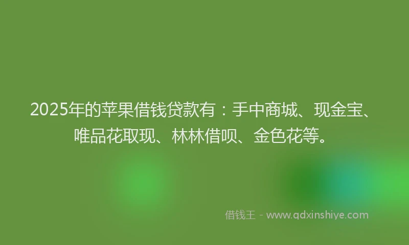 2025年的苹果借钱贷款有：手中商城、现金宝、唯品花取现、林林借呗、金色花等。