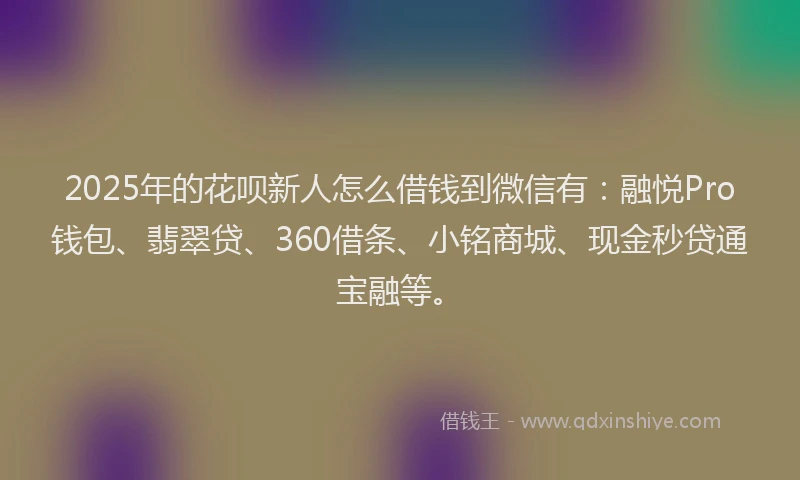 2025年的花呗新人怎么借钱到微信有：融悦Pro钱包、翡翠贷、360借条、小铭商城、现金秒贷通宝融等。
