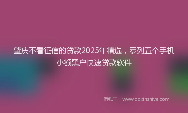 肇庆不看征信的贷款2025年精选，罗列五个手机小额黑户快速贷款软件