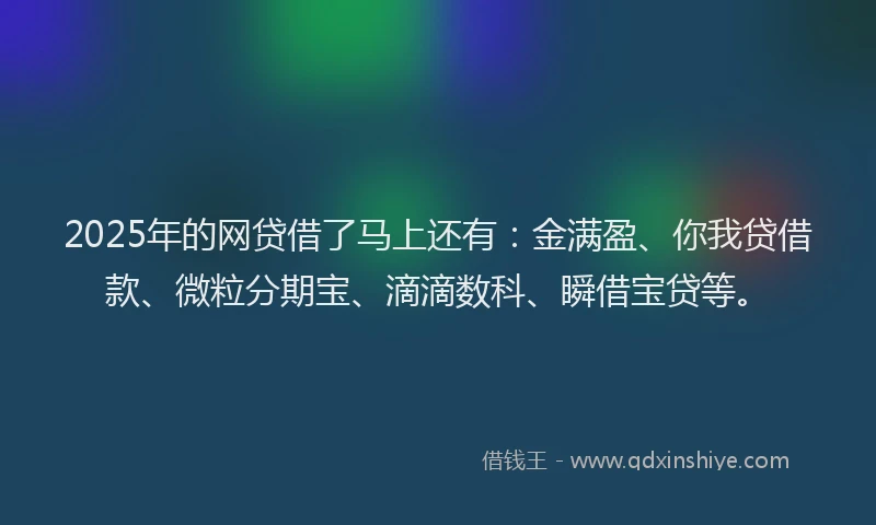 2025年的网贷借了马上还有：金满盈、你我贷借款、微粒分期宝、滴滴数科、瞬借宝贷等。