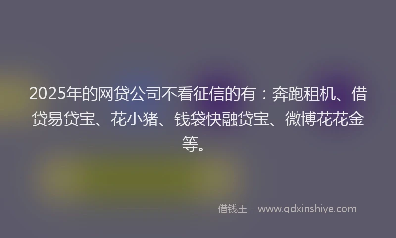 2025年的网贷公司不看征信的有：奔跑租机、借贷易贷宝、花小猪、钱袋快融贷宝、微博花花金等。