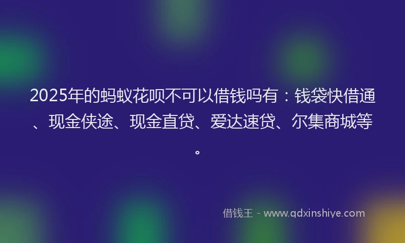 2025年的蚂蚁花呗不可以借钱吗有：钱袋快借通、现金侠途、现金直贷、爱达速贷、尔集商城等。