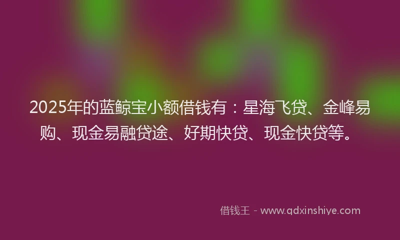 2025年的蓝鲸宝小额借钱有：星海飞贷、金峰易购、现金易融贷途、好期快贷、现金快贷等。