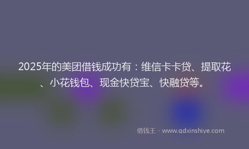 2025年的美团借钱成功有：维信卡卡贷、提取花、小花钱包、现金快贷宝、快融贷等。