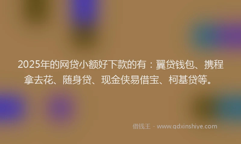 2025年的网贷小额好下款的有：翼贷钱包、携程拿去花、随身贷、现金侠易借宝、柯基贷等。