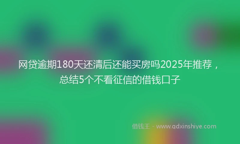 网贷逾期180天还清后还能买房吗2025年推荐，总结5个不看征信的借钱口子