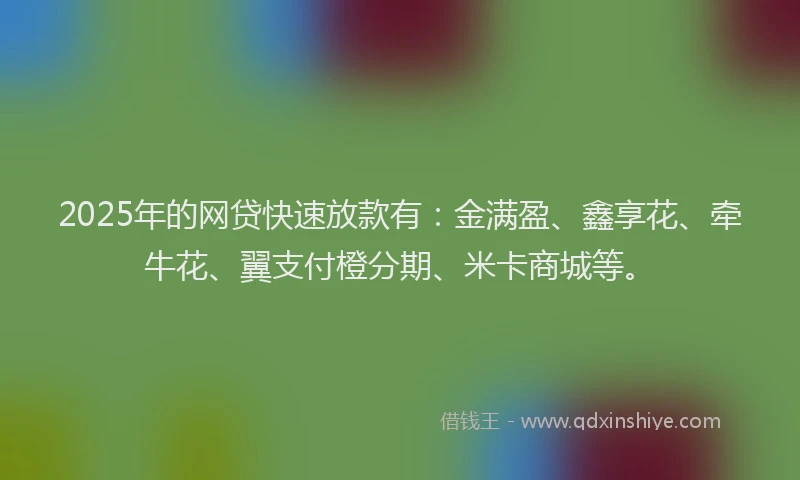2025年的网贷快速放款有：金满盈、鑫享花、牵牛花、翼支付橙分期、米卡商城等。