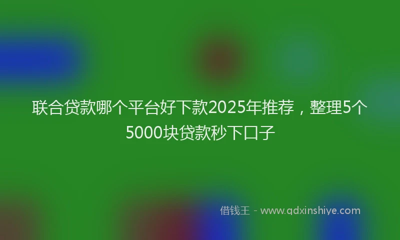 联合贷款哪个平台好下款2025年推荐，整理5个5000块贷款秒下口子