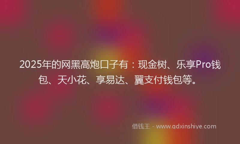 2025年的网黑高炮口子有：现金树、乐享Pro钱包、天小花、享易达、翼支付钱包等。