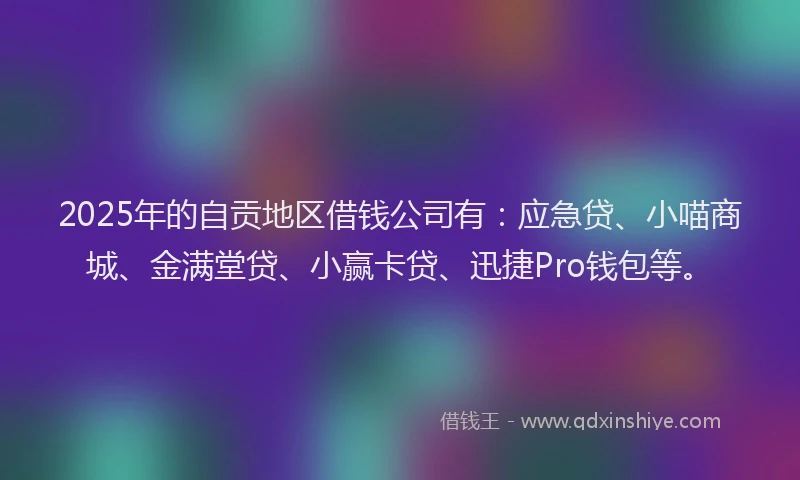 2025年的自贡地区借钱公司有：应急贷、小喵商城、金满堂贷、小赢卡贷、迅捷Pro钱包等。