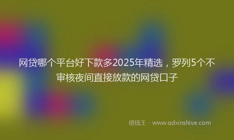 网贷哪个平台好下款多2025年精选，罗列5个不审核夜间直接放款的网贷口子