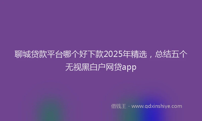 聊城贷款平台哪个好下款2025年精选，总结五个无视黑白户网贷app