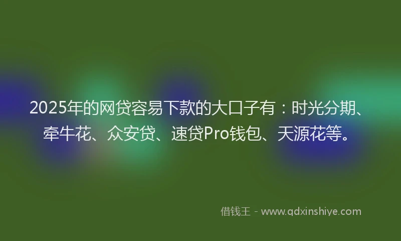2025年的网贷容易下款的大口子有：时光分期、牵牛花、众安贷、速贷Pro钱包、天源花等。