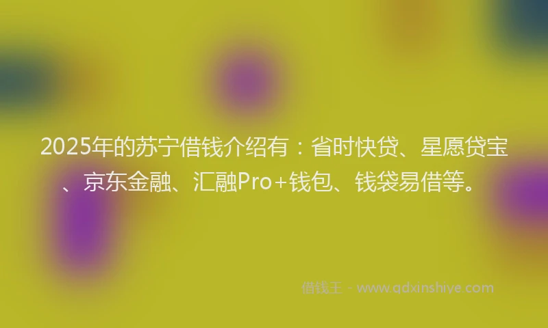 2025年的苏宁借钱介绍有：省时快贷、星愿贷宝、京东金融、汇融Pro+钱包、钱袋易借等。