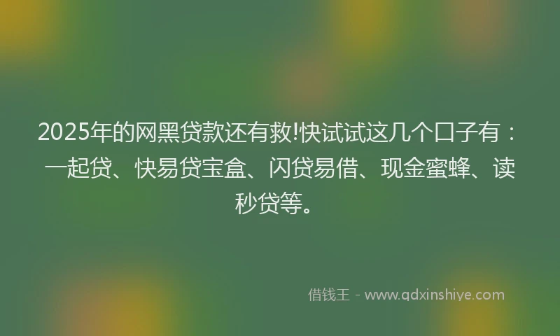 2025年的网黑贷款还有救!快试试这几个口子有：一起贷、快易贷宝盒、闪贷易借、现金蜜蜂、读秒贷等。