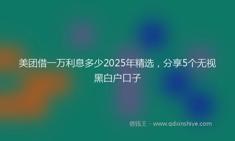 美团借一万利息多少2025年精选，分享5个无视黑白户口子