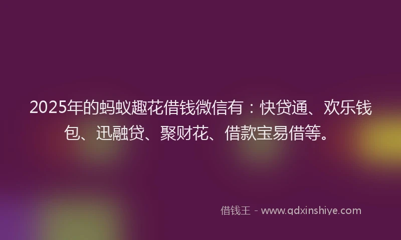 2025年的蚂蚁趣花借钱微信有：快贷通、欢乐钱包、迅融贷、聚财花、借款宝易借等。
