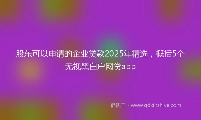 股东可以申请的企业贷款2025年精选，概括5个无视黑白户网贷app
