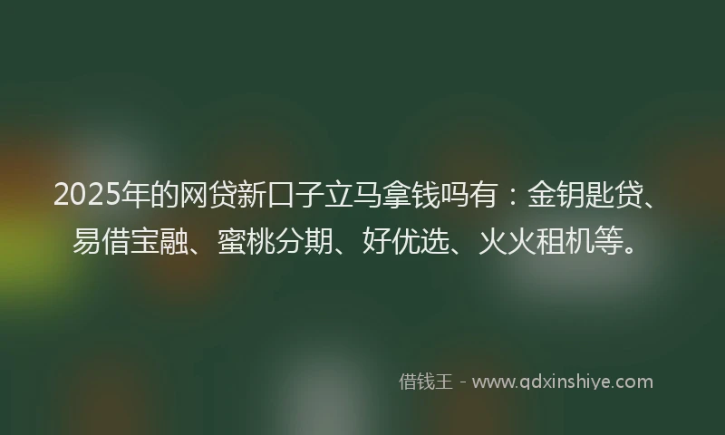 2025年的网贷新口子立马拿钱吗有：金钥匙贷、易借宝融、蜜桃分期、好优选、火火租机等。