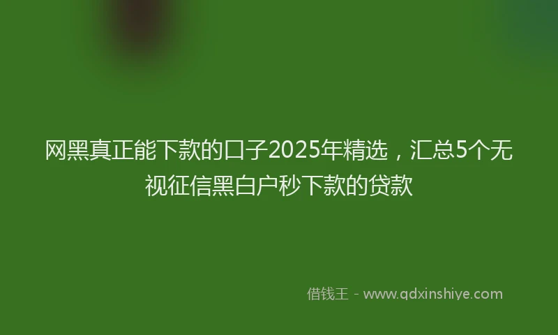 网黑真正能下款的口子2025年精选，汇总5个无视征信黑白户秒下款的贷款