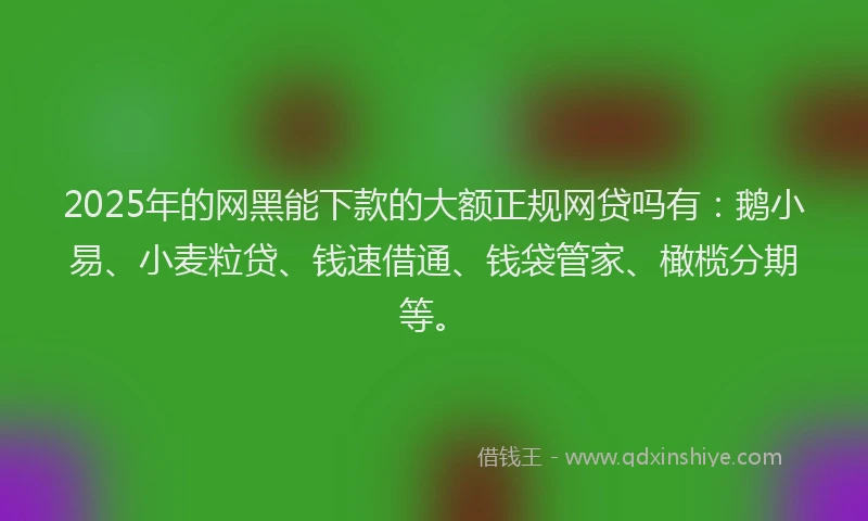 2025年的网黑能下款的大额正规网贷吗有：鹅小易、小麦粒贷、钱速借通、钱袋管家、橄榄分期等。