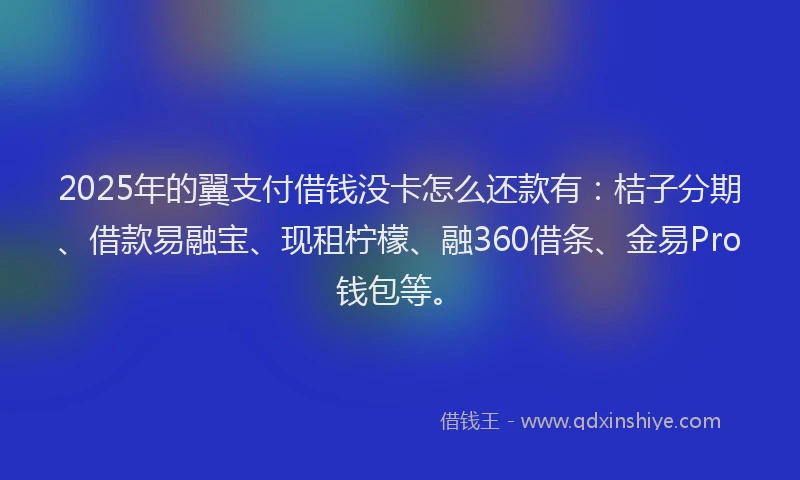 2025年的翼支付借钱没卡怎么还款有：桔子分期、借款易融宝、现租柠檬、融360借条、金易Pro钱包等。