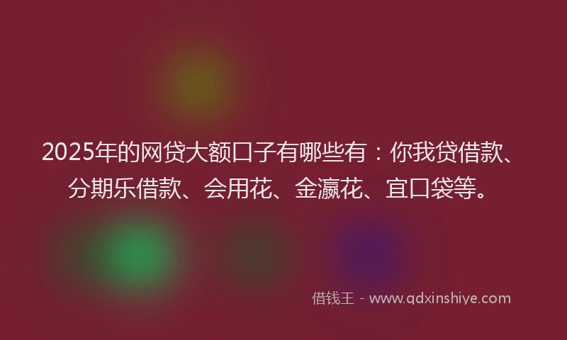 2025年的网贷大额口子有哪些有：你我贷借款、分期乐借款、会用花、金瀛花、宜口袋等。